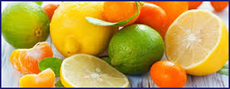 citrus-pectin- Ikaria Lean Belly Juice ingredients