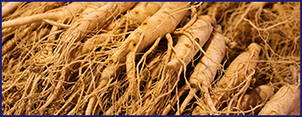 panax-ginseng - Ikaria Lean Belly Juice ingredients